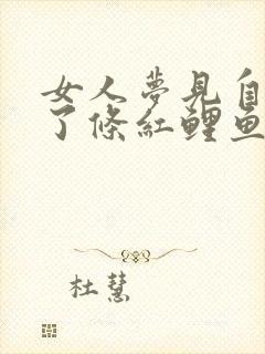 女人梦见自己抓了条红鲤鱼封面