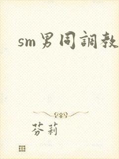 sm男同调教文