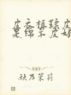 皮衣植鞣皮好还是绵羊皮好封面