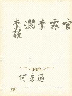 李澜李霖官场小说