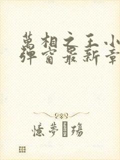 万相之王小说无弹窗最新章节