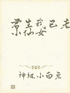 君生我已老有声小仙女