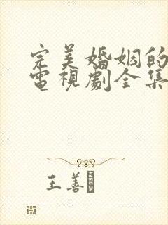 完美婚姻的定式电视剧全集免费观看