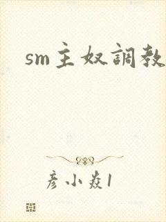 sm主奴调教文