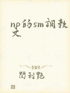 np的sm调教文