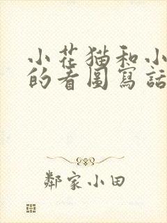 小花猫和小老鼠的看图写话封面