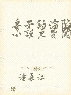 妻子的沦陷曹叔小说免费阅读封面