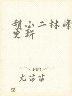 赵小二林峰超前更新