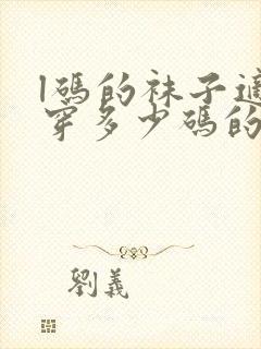 l码的袜子适合穿多少码的鞋