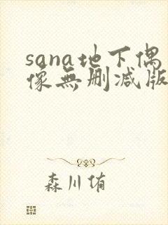 sana地下偶像无删减版封面