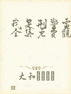 我是刑警电视剧全集免费观看封面