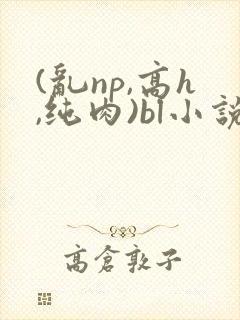 (乱np,高h,纯肉)bl小说