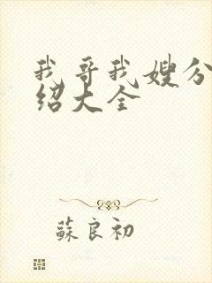 我哥我嫂分集介绍大全封面