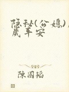 隐秘(公媳)岁岁平安封面