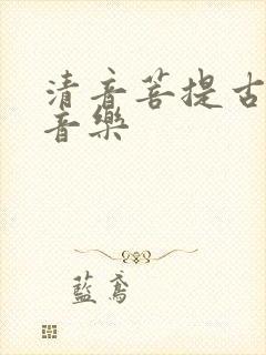 清音菩提古筝纯音乐