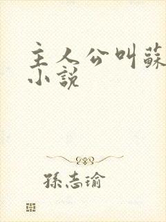 主人公叫苏言的小说