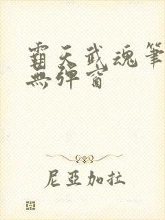 霸天武魂笔趣阁无弹窗