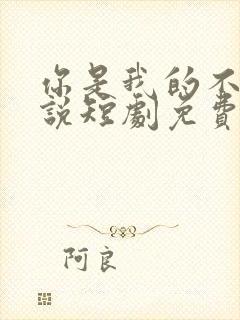 你是我的不可言说短剧免费观看全集