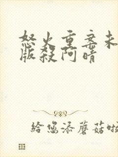 怒火重案未删减版杀阿晴封面