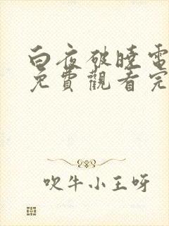 白夜破晓电视剧免费观看完整版全集