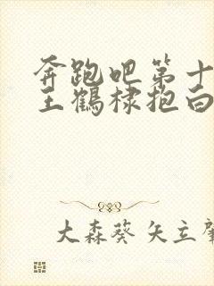 奔跑吧第十一季王鹤棣抱白鹿封面