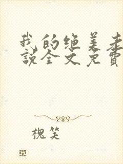 我的绝美老婆小说全文免费阅读