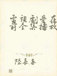 电视剧爱在日落前全集播放