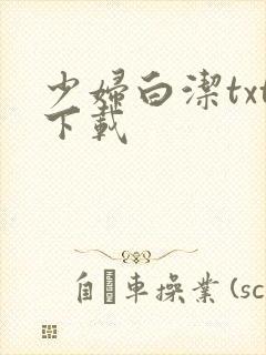 少妇白洁txt下载