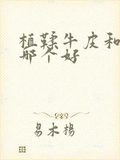 植鞣牛皮和真皮哪个好封面