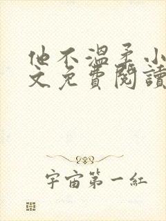 他不温柔小说全文免费阅读无弹窗