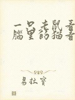 一只老鼠看见电脑里的猫看图写话