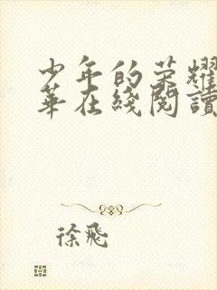 少年的荣耀李东华在线阅读