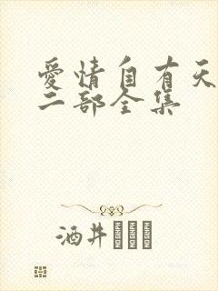 爱情自有天意第二部全集