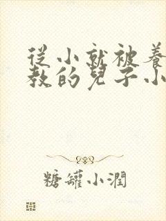 从小就被养父调教的儿子小说