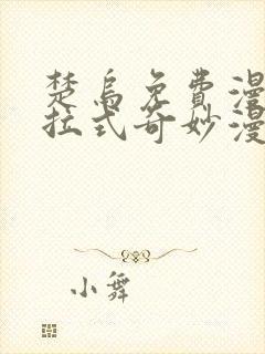 楚乌免费漫画下拉式奇妙漫画封面