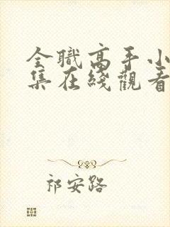 全职高手小说全集在线观看封面