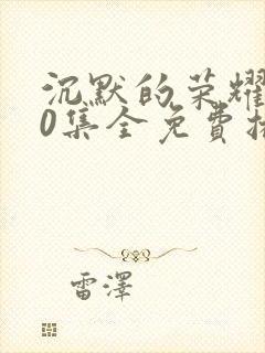 沉默的荣耀全40集全免费播放封面