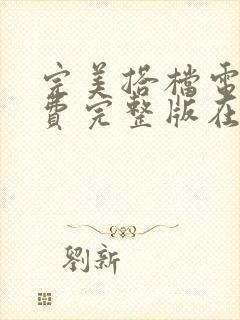 完美搭档电影免费完整版在线观看封面