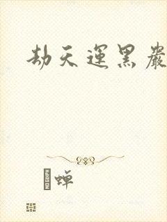 劫天运黑岩封面