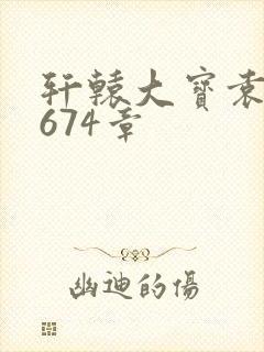 轩辕大宝袁雪妃674章