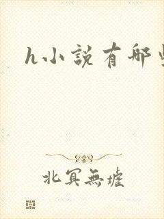 h小说有哪些封面