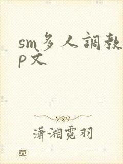 sm多人调教np文
