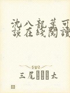 沈八龙叶可怡小说在线阅读
