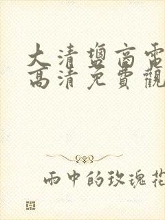 大清盐商电视剧高清免费观看