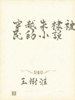 穿越朱棣被贬农民的小说