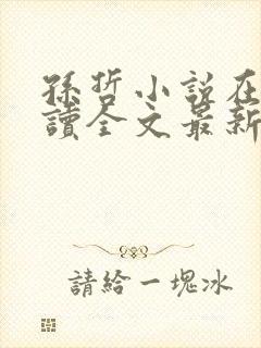 孙哲小说在线阅读全文最新