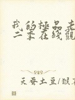 我的极品老婆第二季在线观看