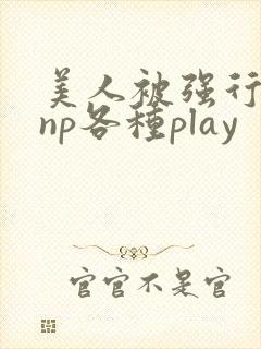 美人被强行糟蹋np各种play封面