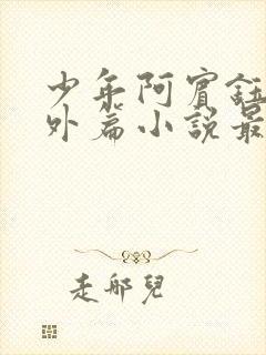 少年阿宾钰慧番外篇小说最新章节列