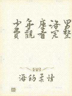 少年库洛男仆免费观看完整版封面